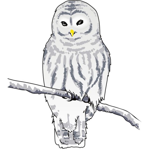 PG67671 Miniaturansicht