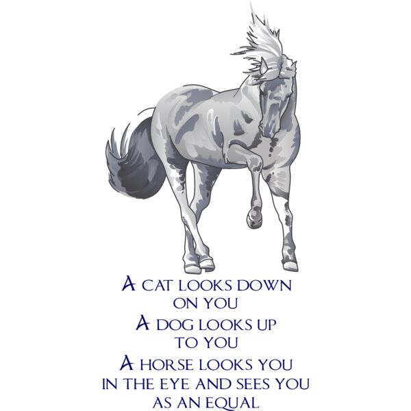 PG67397 Miniaturansicht