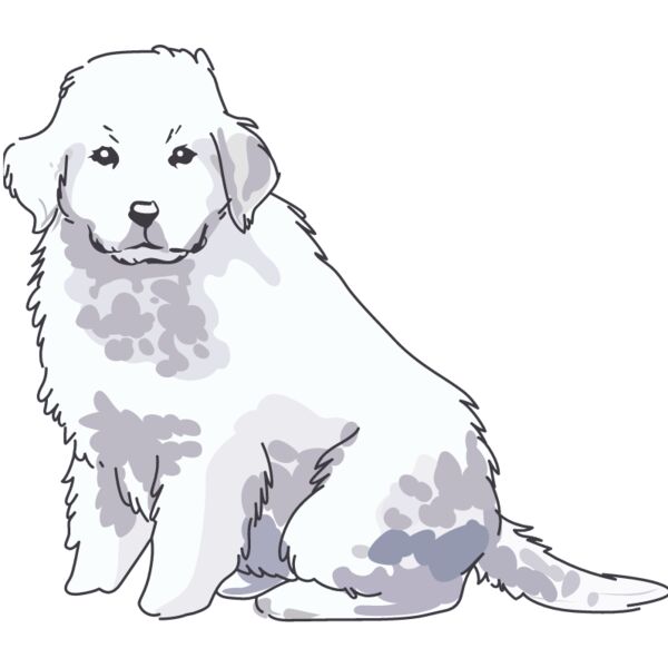 PG85858 Miniaturansicht