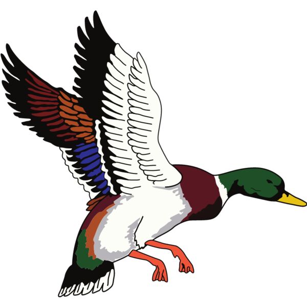 PG66838 Miniaturansicht