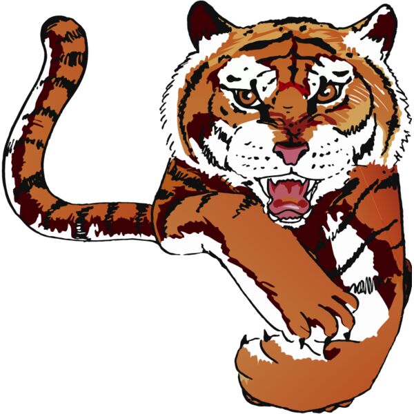 PG79720 Miniaturansicht