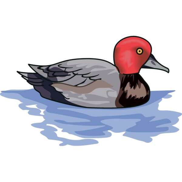 PG63242 Miniaturansicht