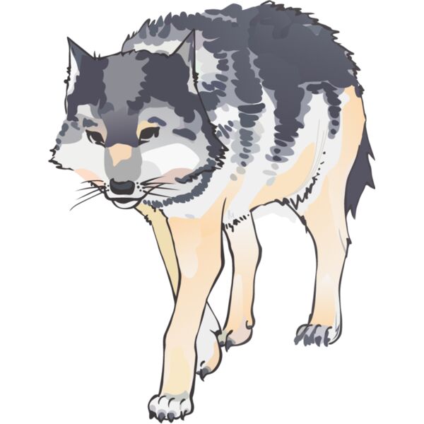 PG69534 Miniaturansicht