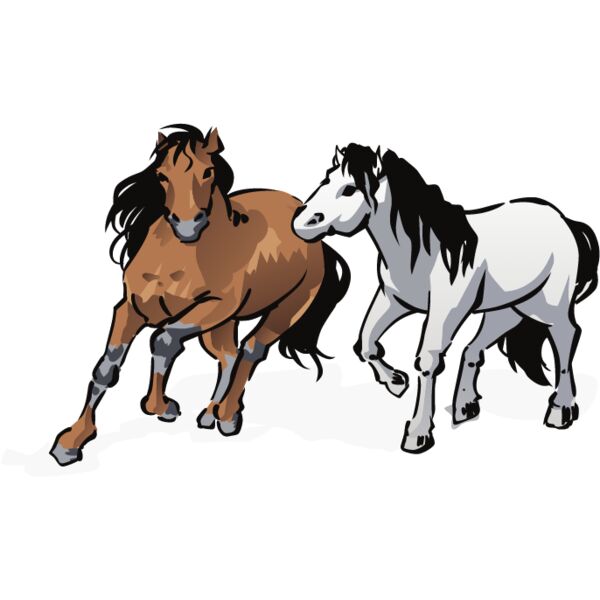 PG67409 Miniaturansicht