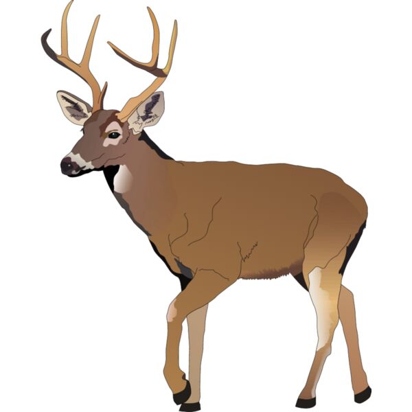 PG50665 Miniaturansicht