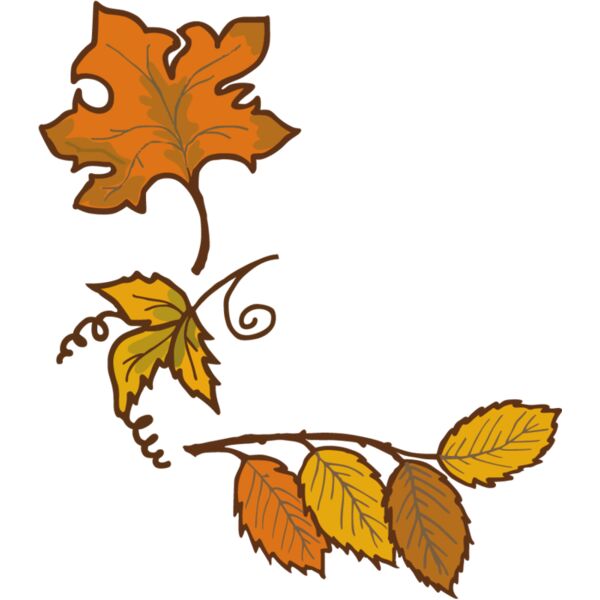 PG76272 Miniaturansicht