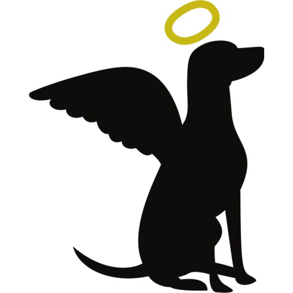 PG63443 Miniaturansicht