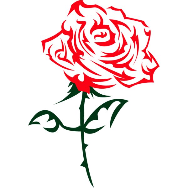 PG75764 Miniaturansicht