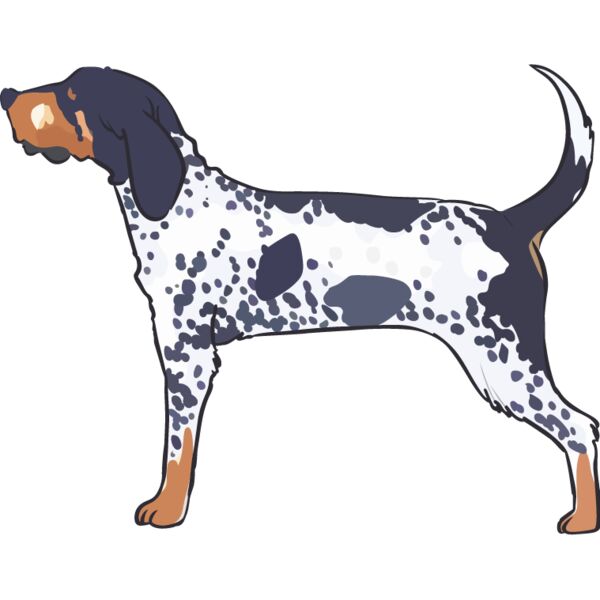 PG87642 Miniaturansicht