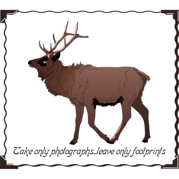 PG50692 Miniaturansicht