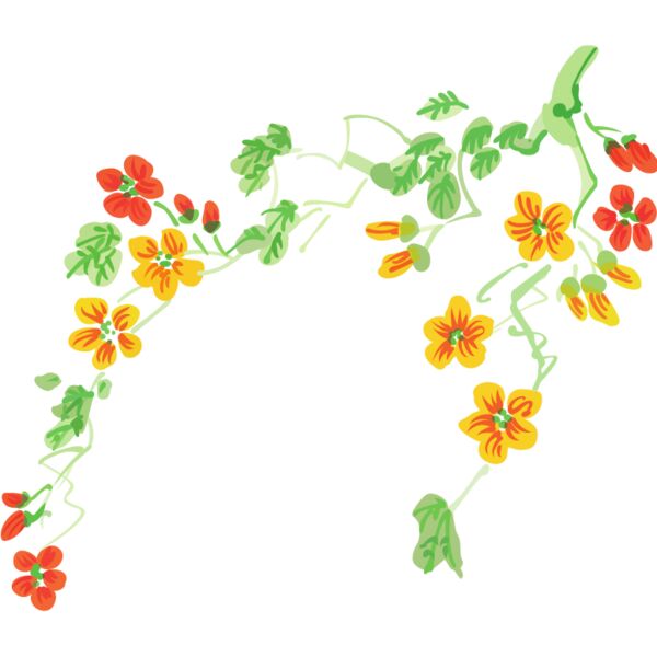 PG69949 Miniaturansicht