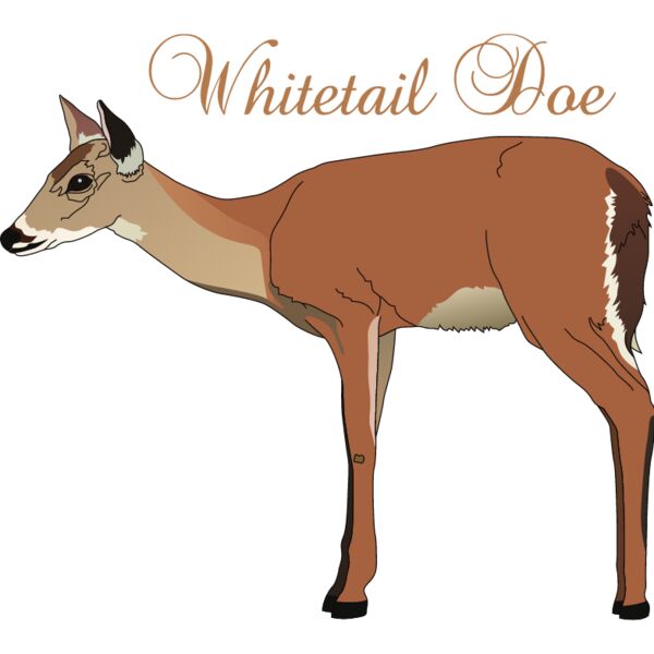 PG50672 Miniaturansicht