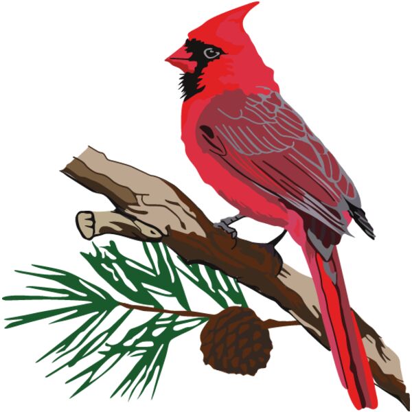 PG93585 Miniaturansicht