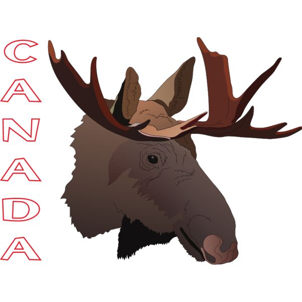 PG50735 Miniaturansicht