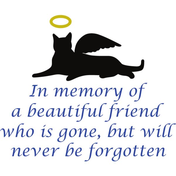 PG63450 Miniaturansicht