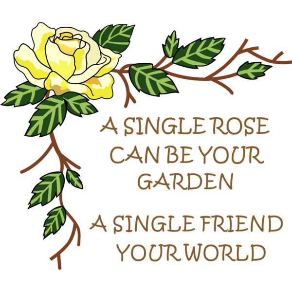 PG66375 Miniaturansicht