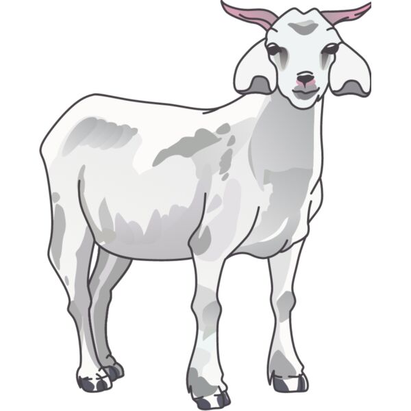 PG67979 Miniaturansicht