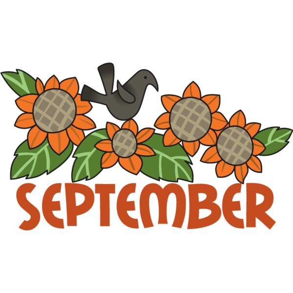 PG55705 Miniaturansicht