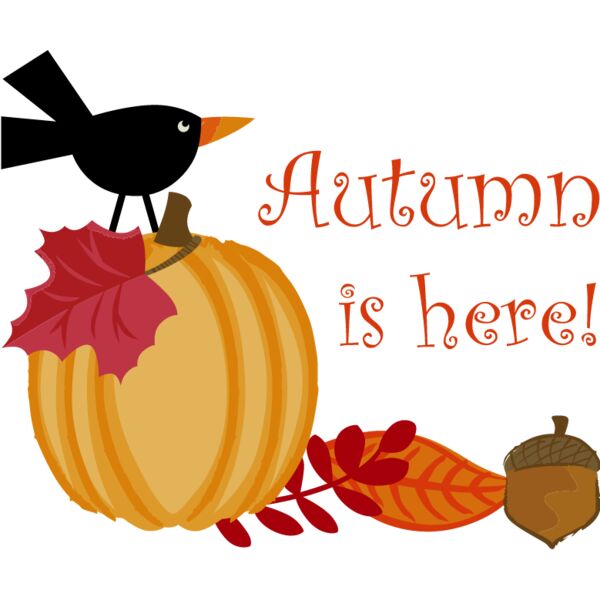 PG94211 Miniaturansicht