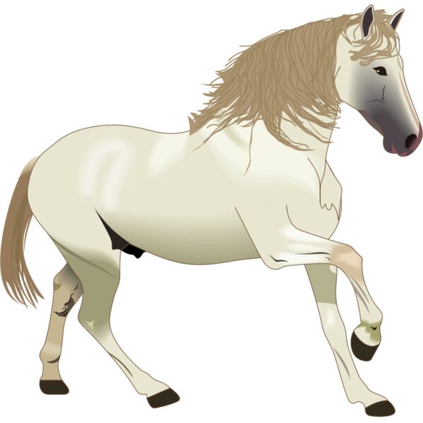 PG60355 Miniaturansicht