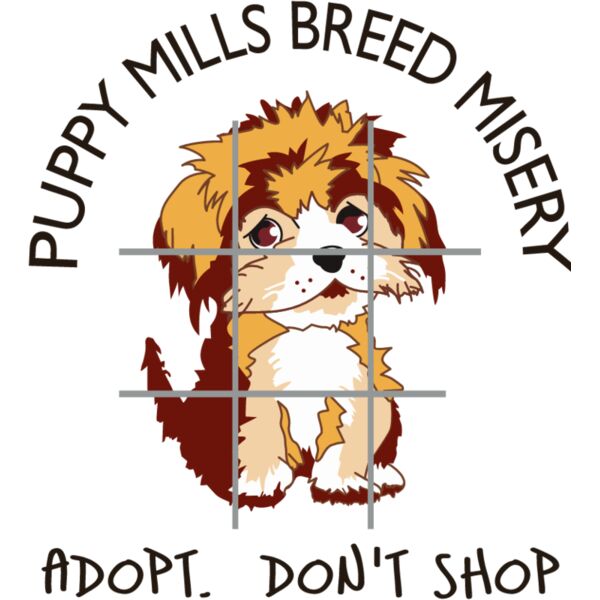 PG60420 Miniaturansicht