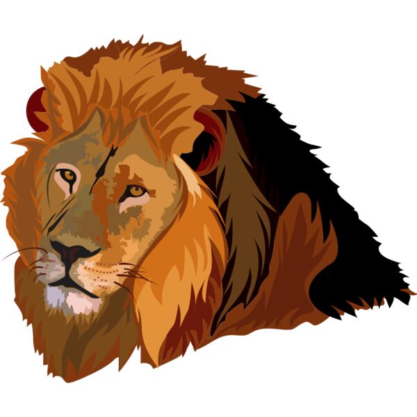 PG52974 Miniaturansicht