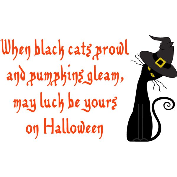 PG72155 Miniaturansicht