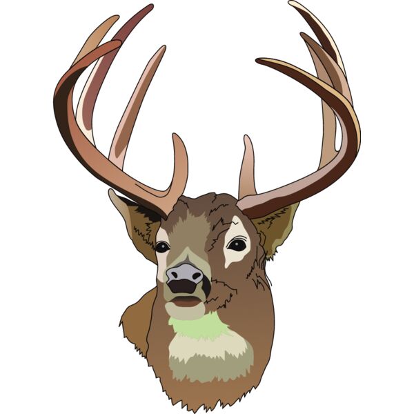 PG50649 Miniaturansicht