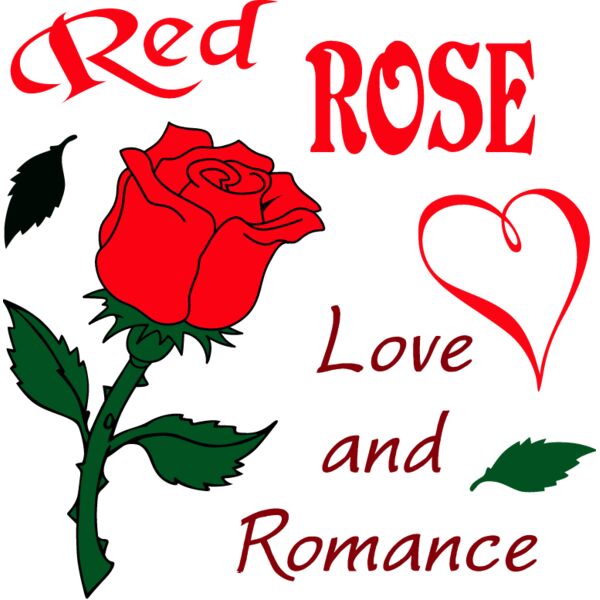 PG79381 Miniaturansicht