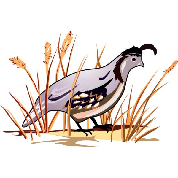 PG66338 Miniaturansicht