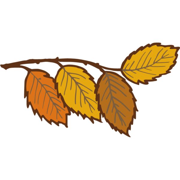 PG76273 Miniaturansicht