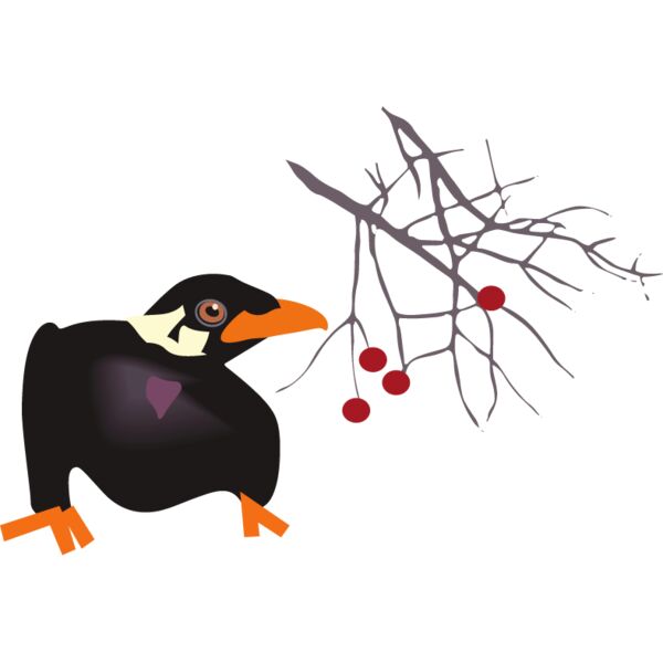 PG72793 Miniaturansicht