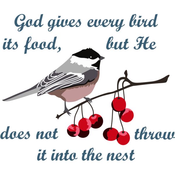 PG93371 Miniaturansicht