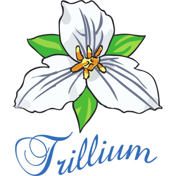 PG87791 Miniaturansicht