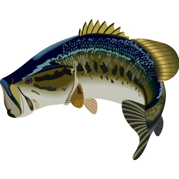 PG55905 Miniaturansicht