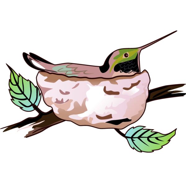 PG66336 Miniaturansicht