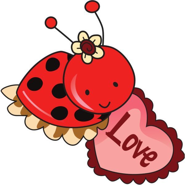 PG48640 Miniaturansicht