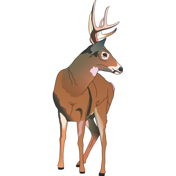 PG50757 Miniaturansicht