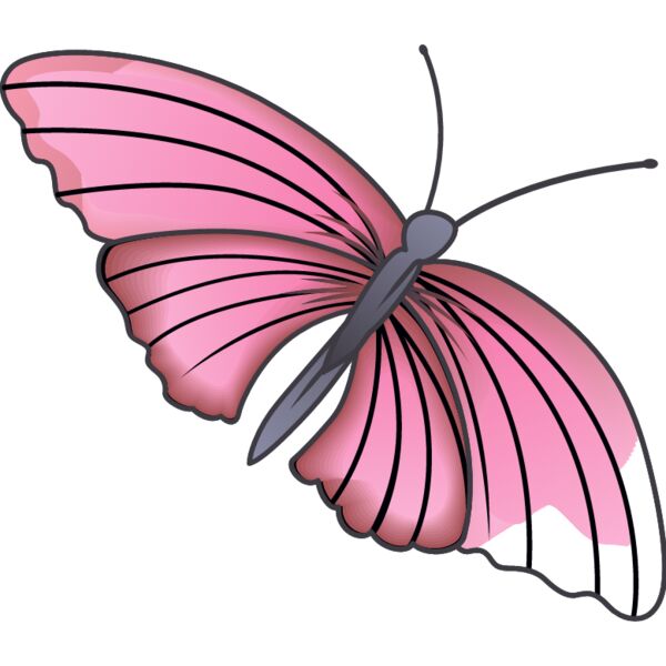 PG63911 Miniaturansicht