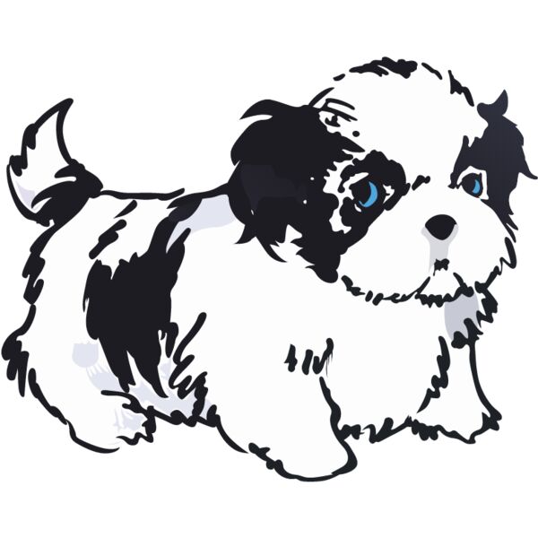 PG77648 Miniaturansicht