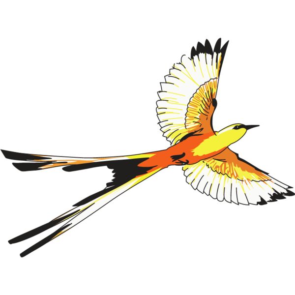 PG79555 Miniaturansicht