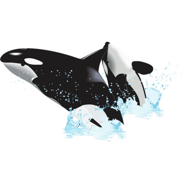 PG52966 Miniaturansicht