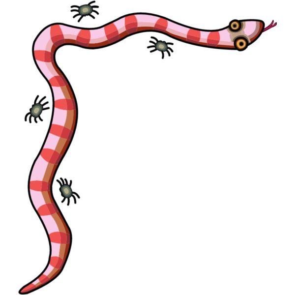 PG16908 Miniaturansicht