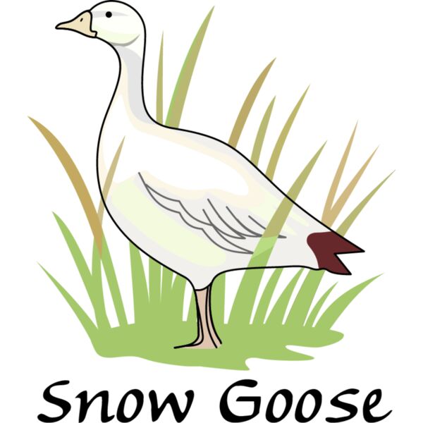 PG66426 Miniaturansicht