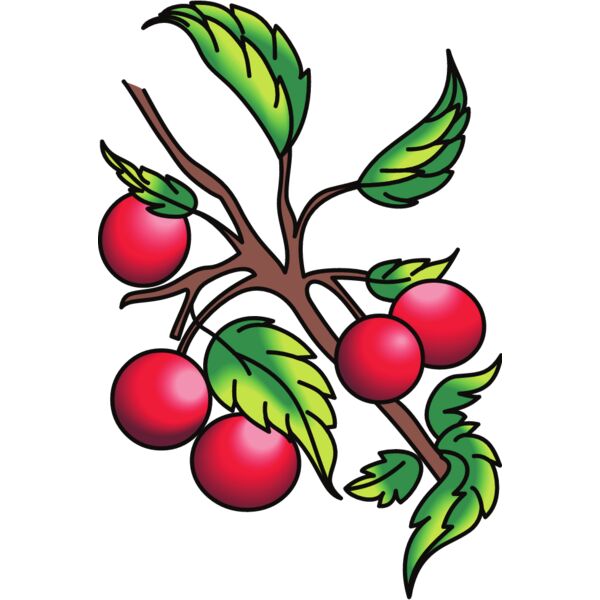 PG62817 Miniaturansicht