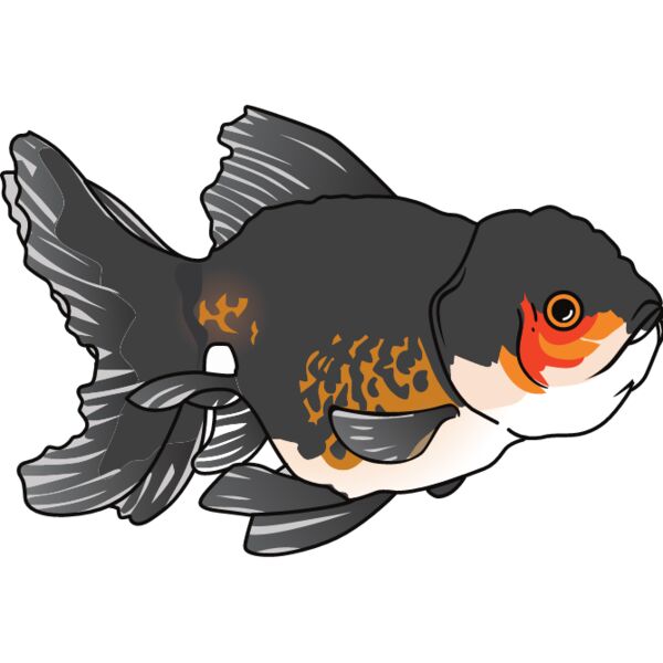 PG67649 Miniaturansicht