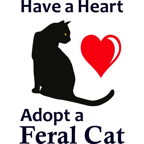 PG77449 Miniaturansicht