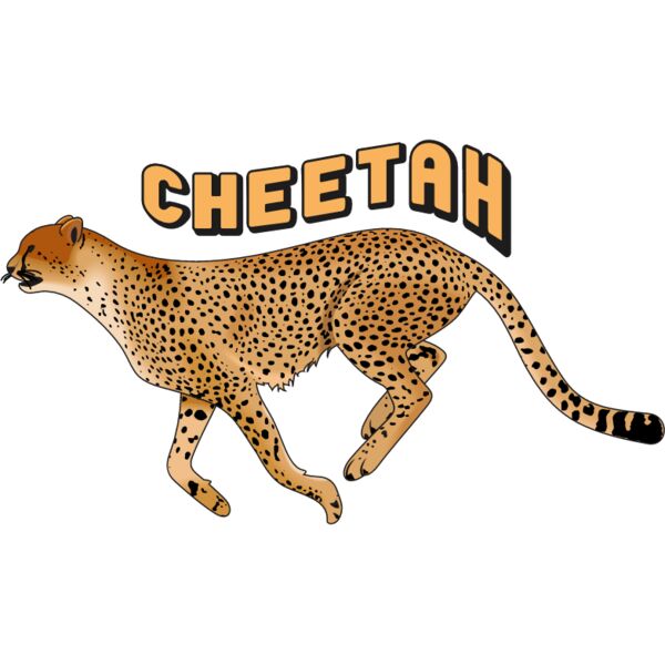 PG55403 Miniaturansicht