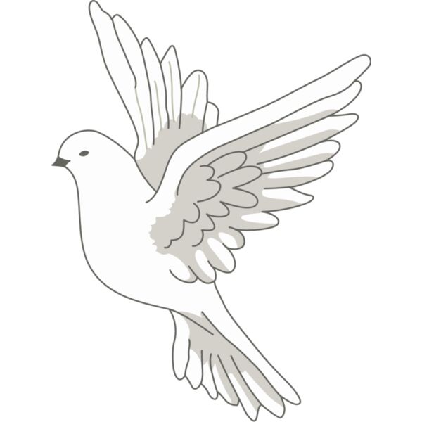 PG63890 Miniaturansicht