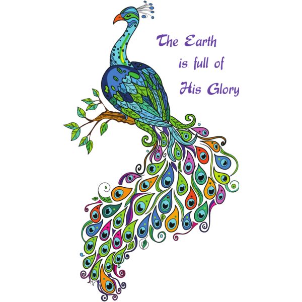 PG79553 Miniaturansicht